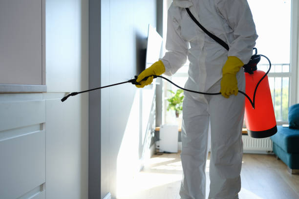 Office Mold Removal Services in Dale, IN
