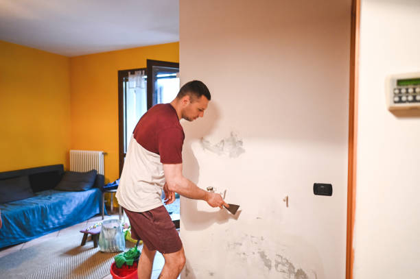 Best Local Mold Removal Service  in Dale, IN