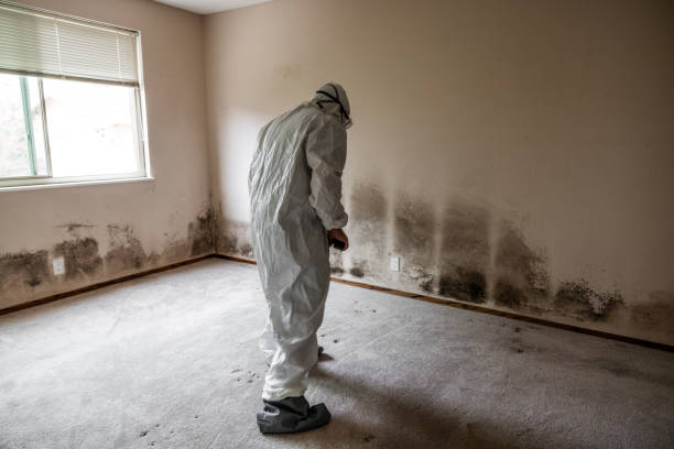 Crawl Space Mold Removal in Dale, IN